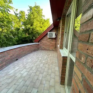 Gabica , Debrecen Magyarország